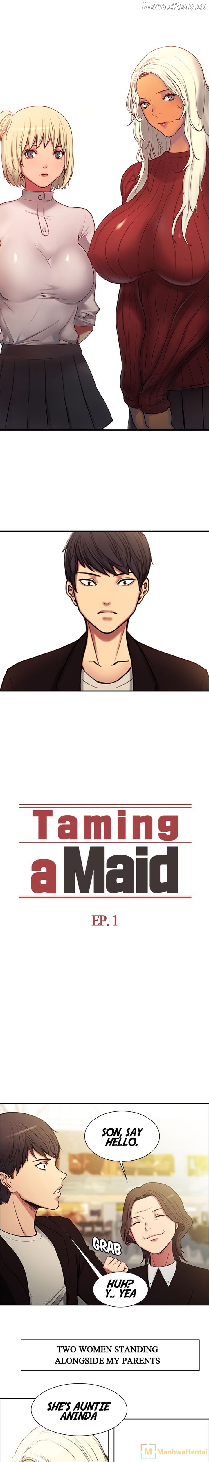 Taming a Maid Chapter 1 - page 17