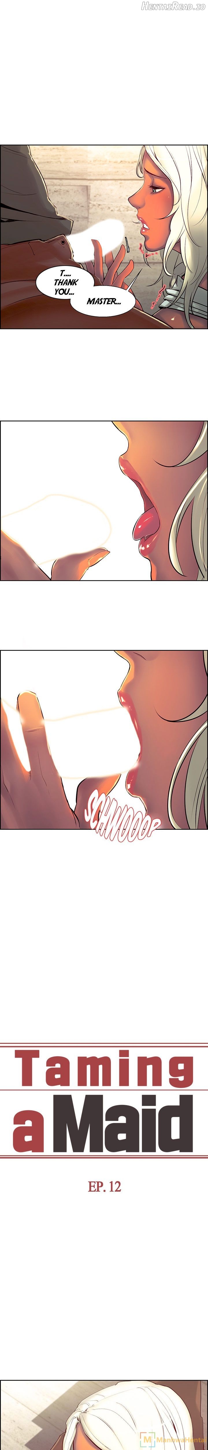Taming a Maid Chapter 12 - page 1
