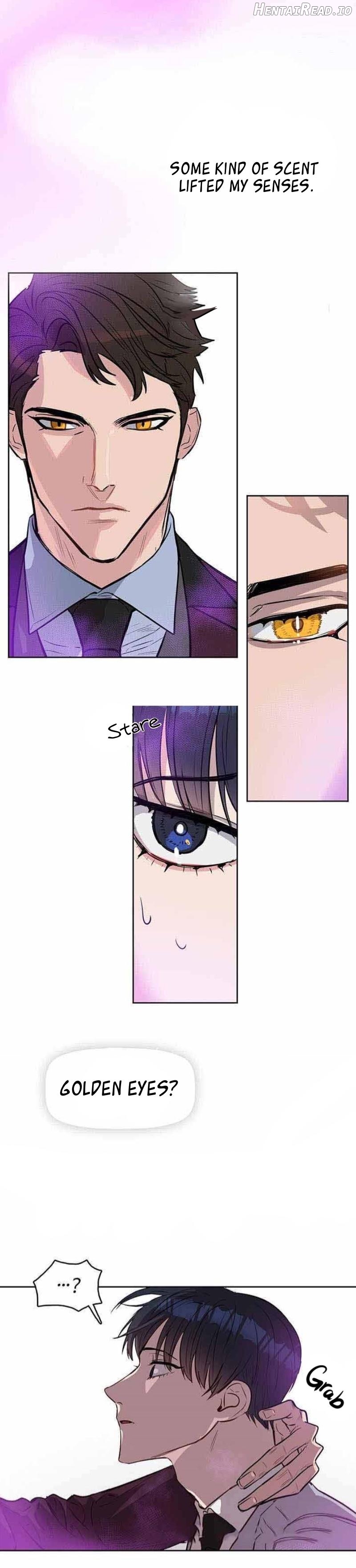 Kiss me, Liar Chapter 7 - page 14