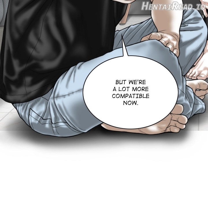 Magnetic Pull Chapter 52 - page 17
