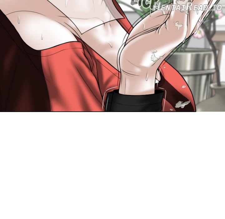 Magnetic Pull Chapter 27 - page 135