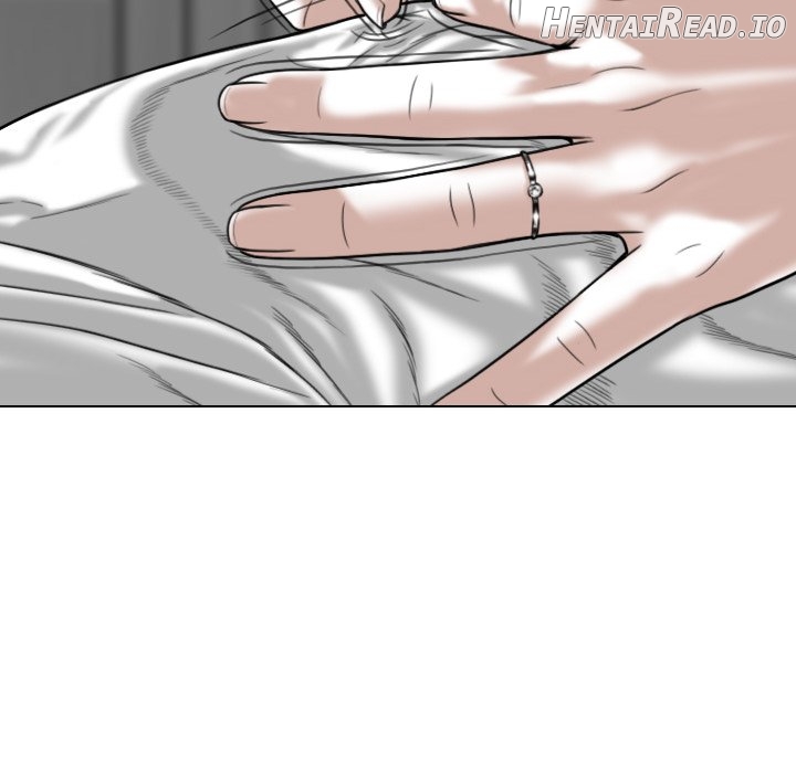 Magnetic Pull Chapter 20 - page 117