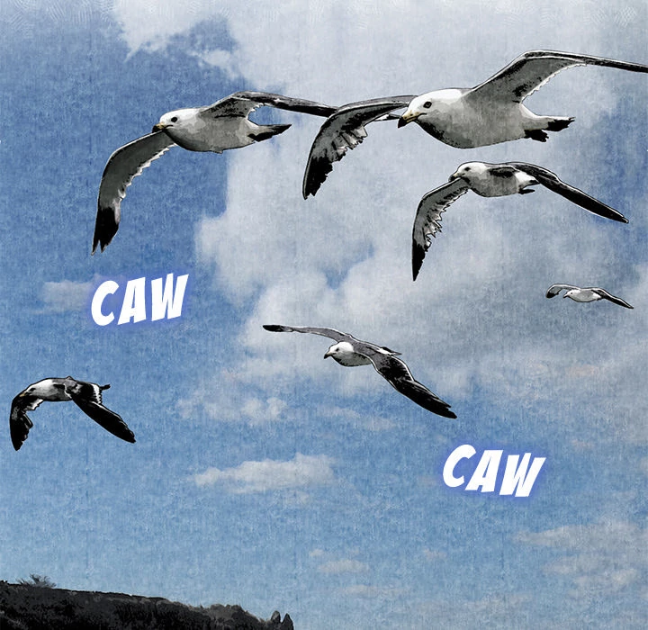 Festival Island Chapter 6 - page 156