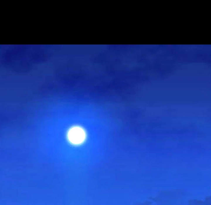 Her Toy Shop Chapter 7 - page 67