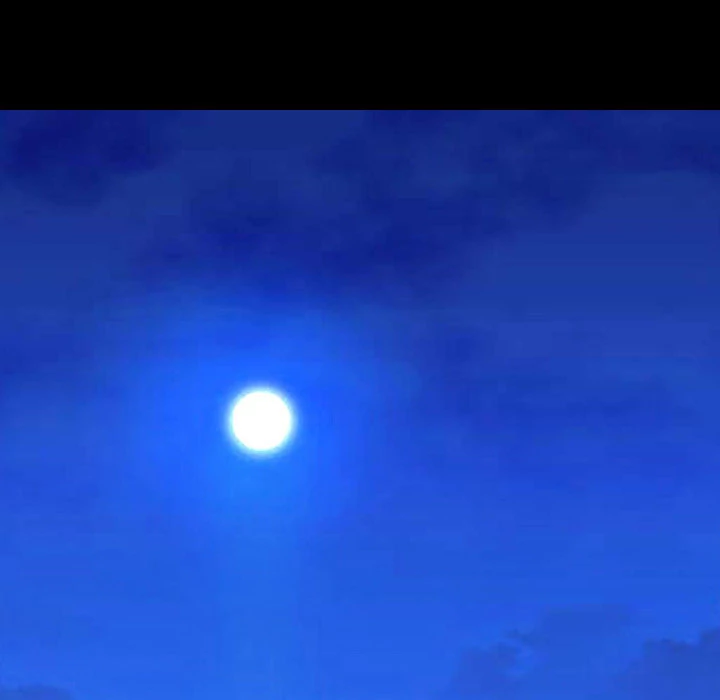 Her Toy Shop Chapter 22 - page 31