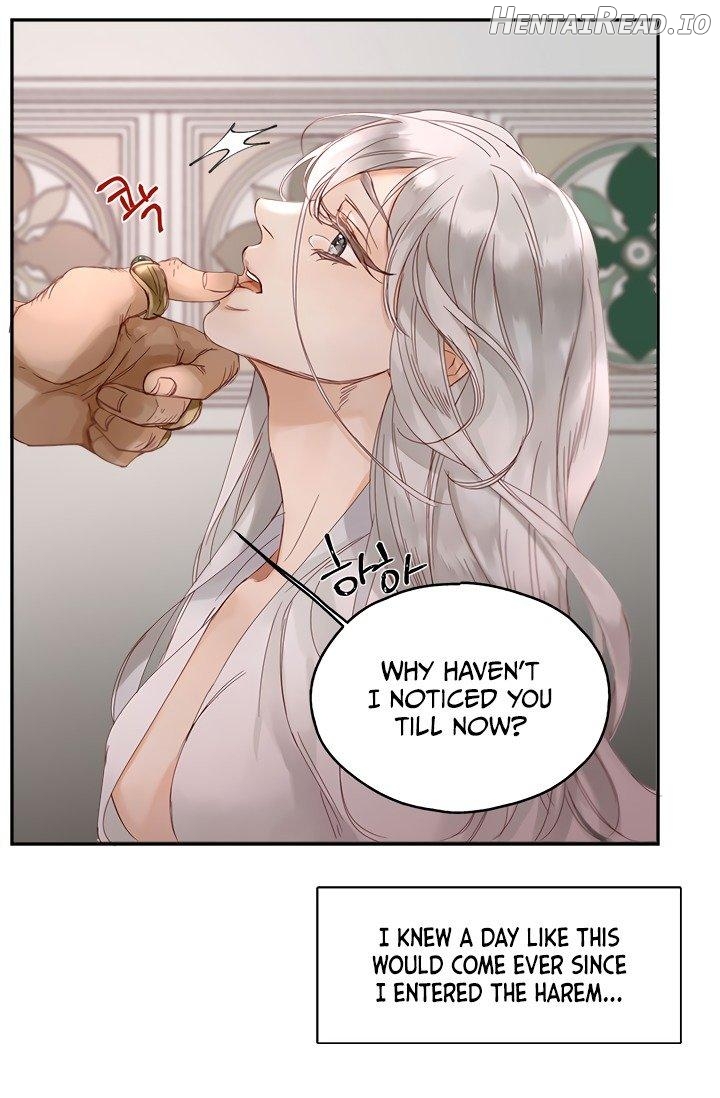 Sultan’s Love Chapter 1 - page 3