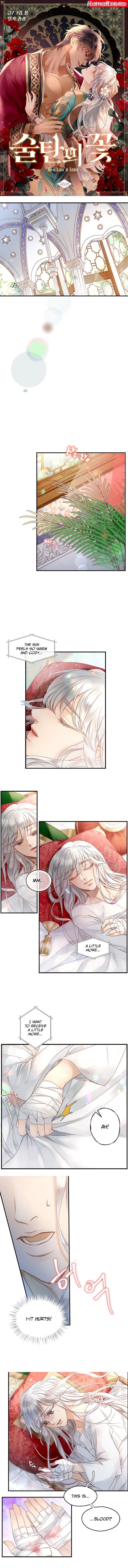 Sultan’s Love Chapter 2 - page 1