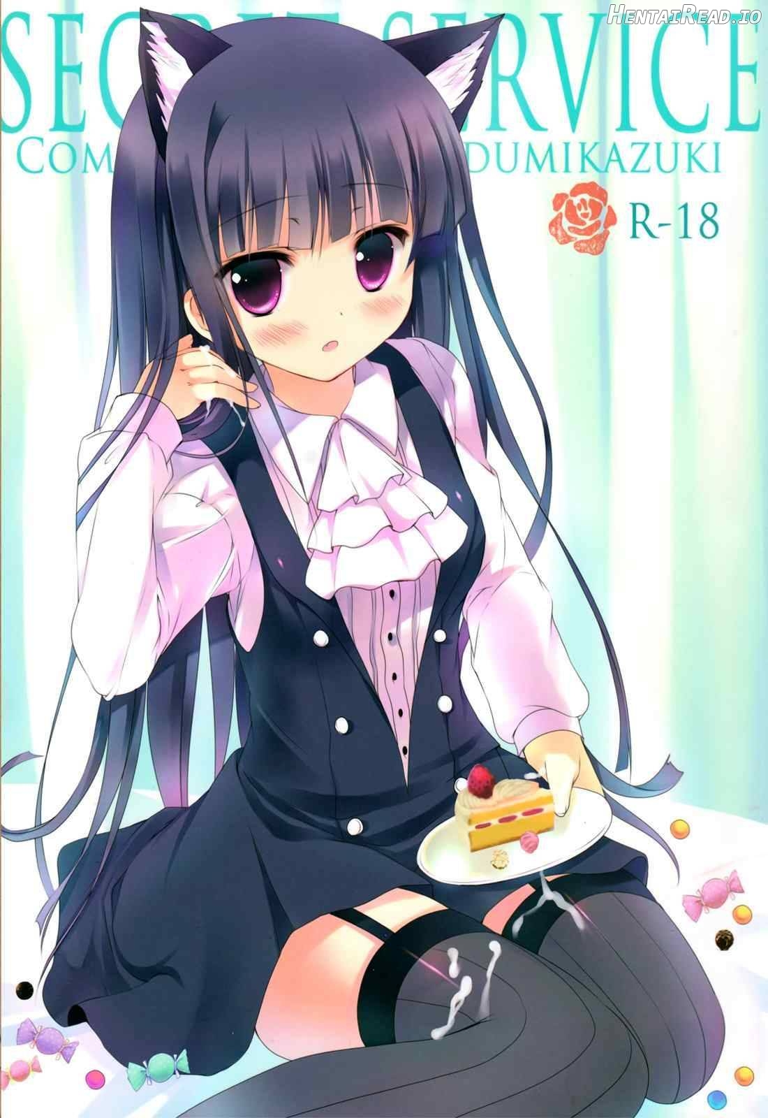 Secret Service Chapter 1 - page 1