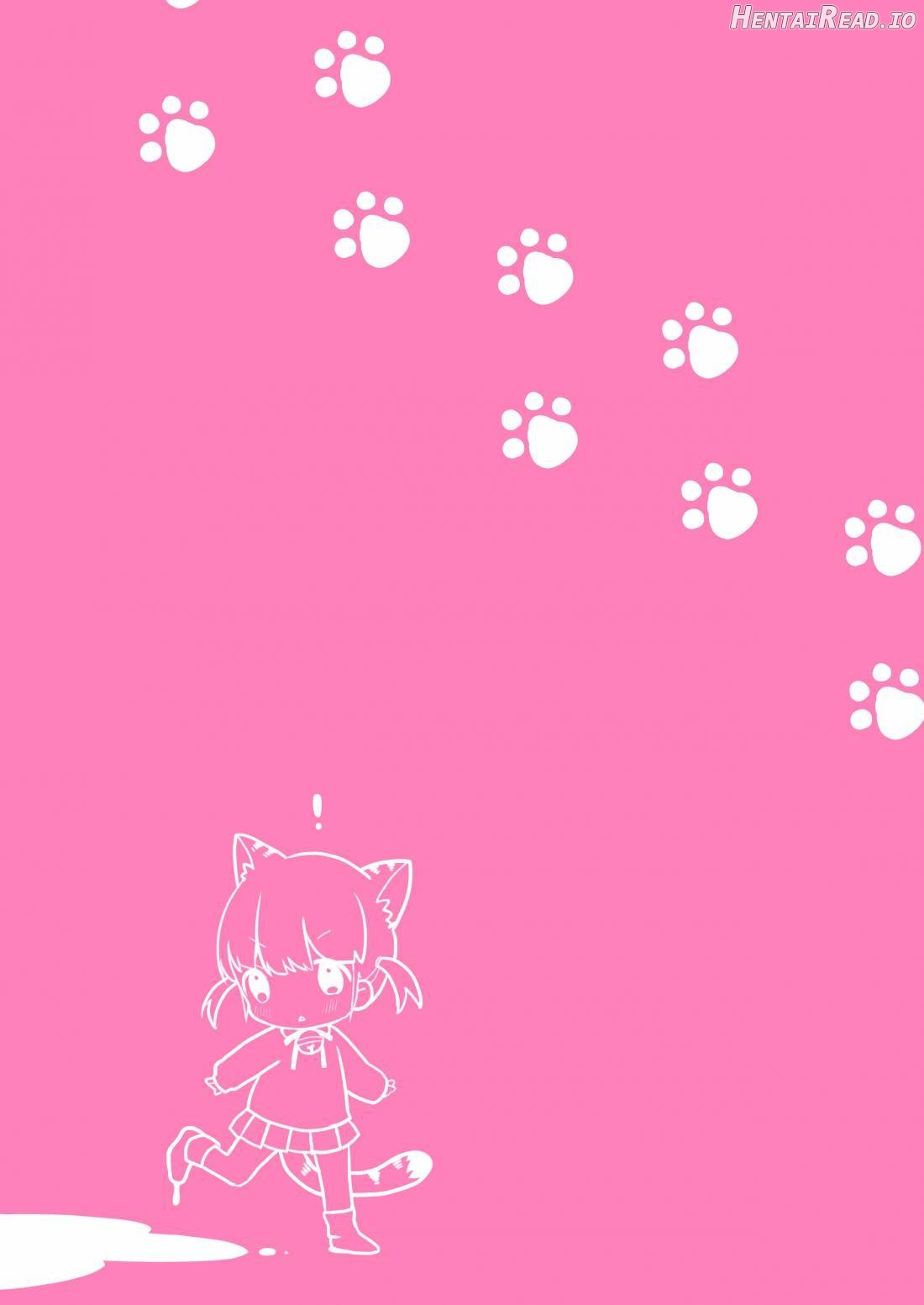 Nyanko Ikusei Nikki Sono 1 Chapter 1 - page 2