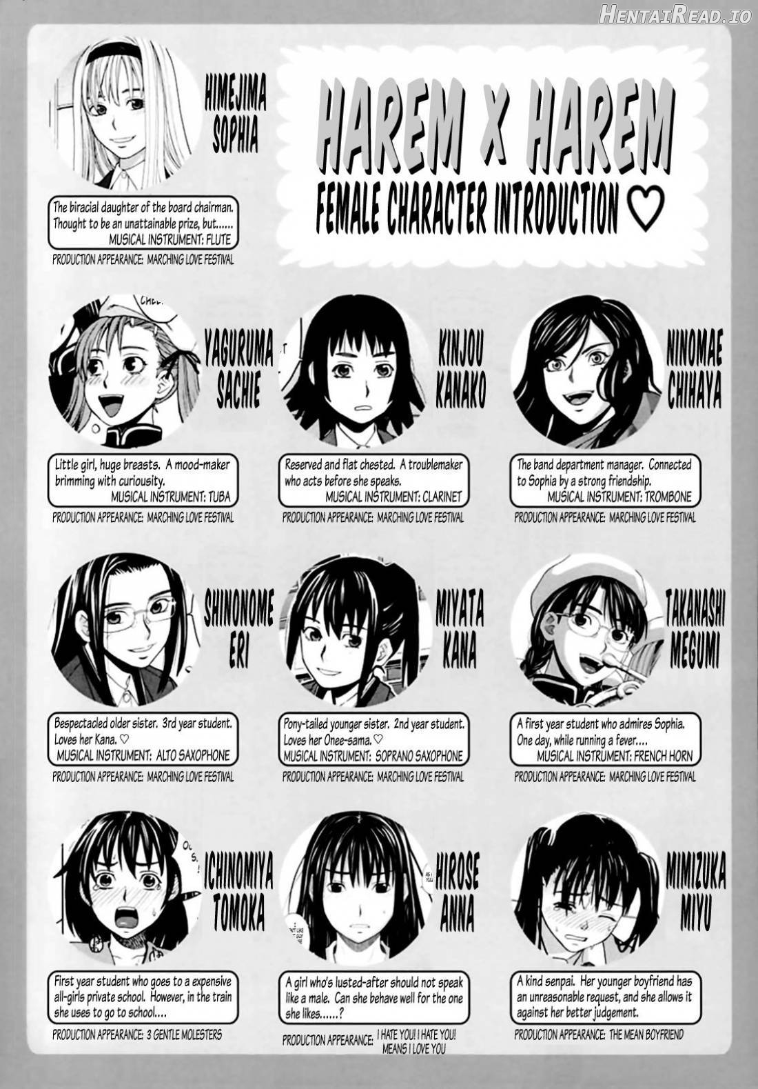 Harem x Harem Hentai Chapter 1 - page 3