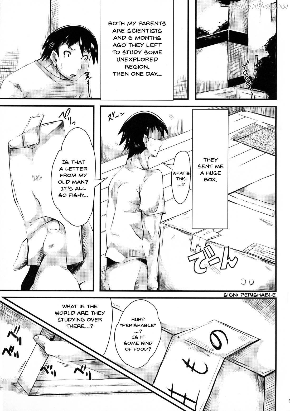 Hikyou kara no Okurimono Chapter 1 - page 3