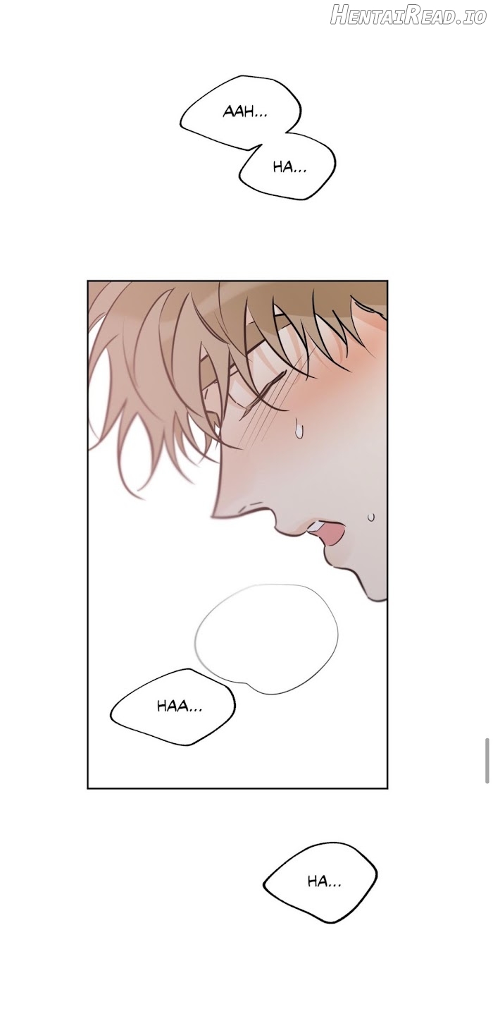 Lucky Paradise Chapter 39 - page 44