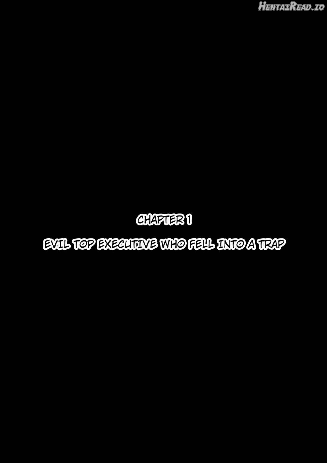 Heroine Harassment Shirogane no Anbarerl Hen Hitojichi o Torarete Nasu Subenaku Dosukebe Hero ni Kegasareru Aku no Onna Kanbu Chapter 1 - page 6