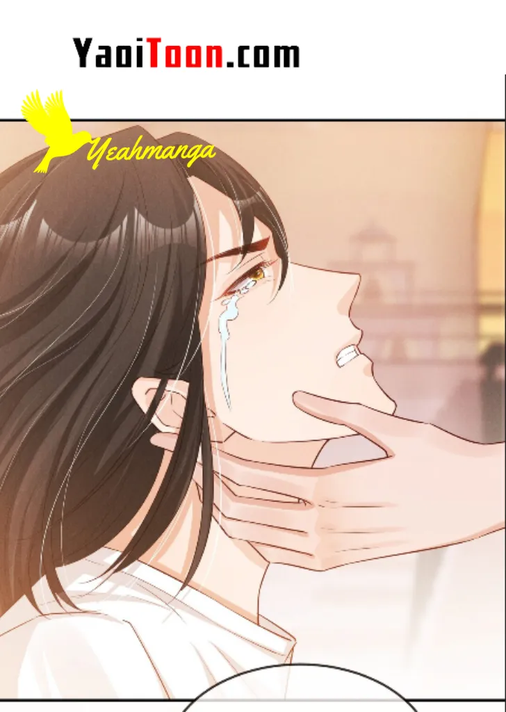 In This Life, Let Me Protect You. Chapter 5 - page 25