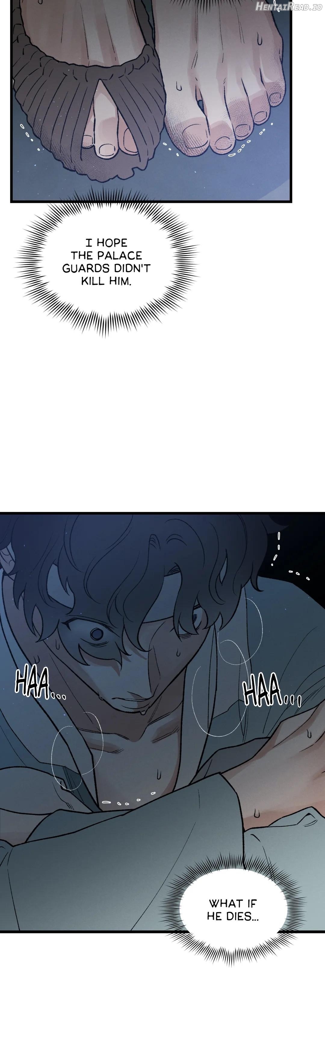 The Tyrant’s Annals Chapter 6 - page 5