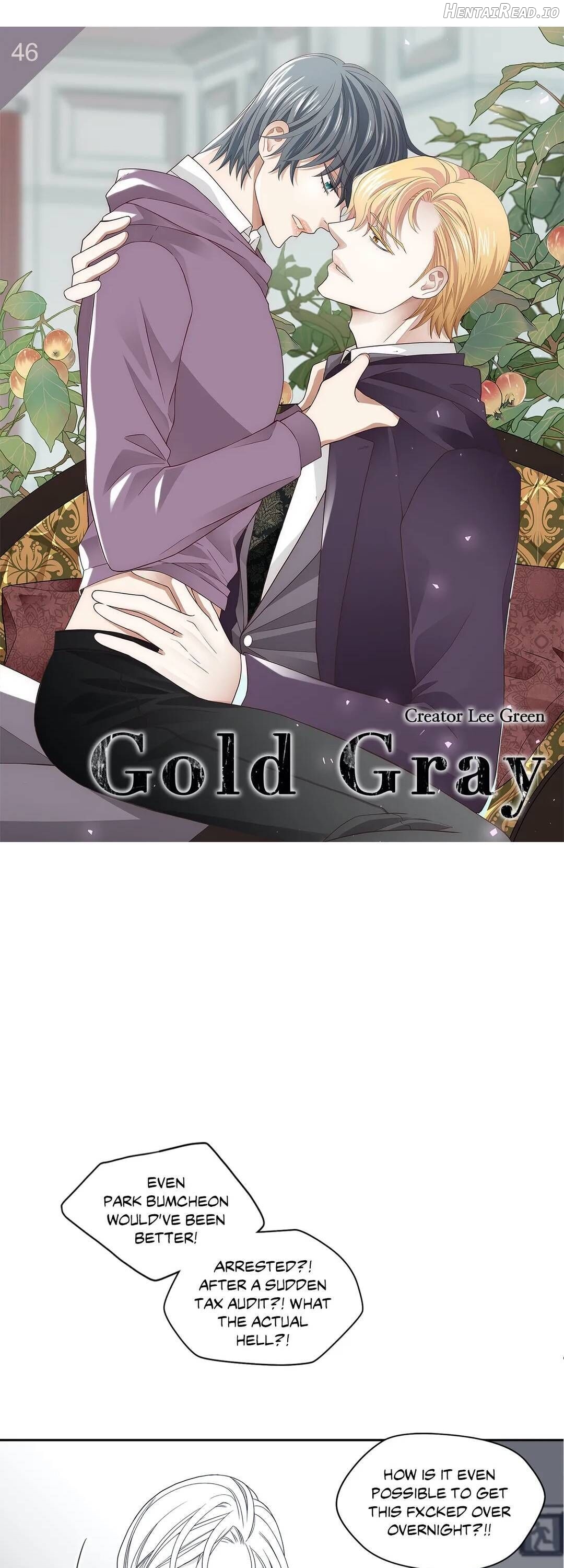 Gold Gray Chapter 46 - page 2