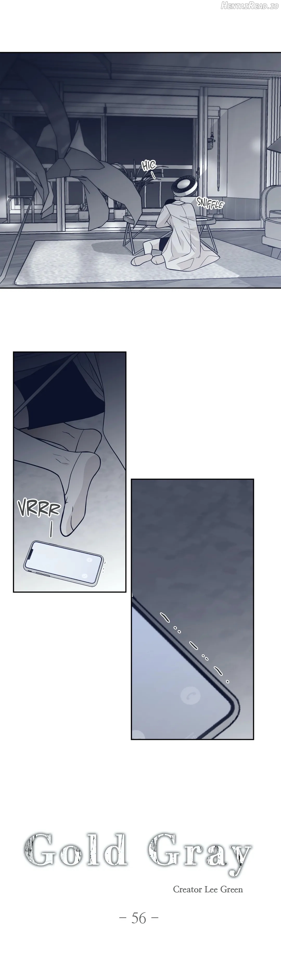 Gold Gray Chapter 56 - page 3