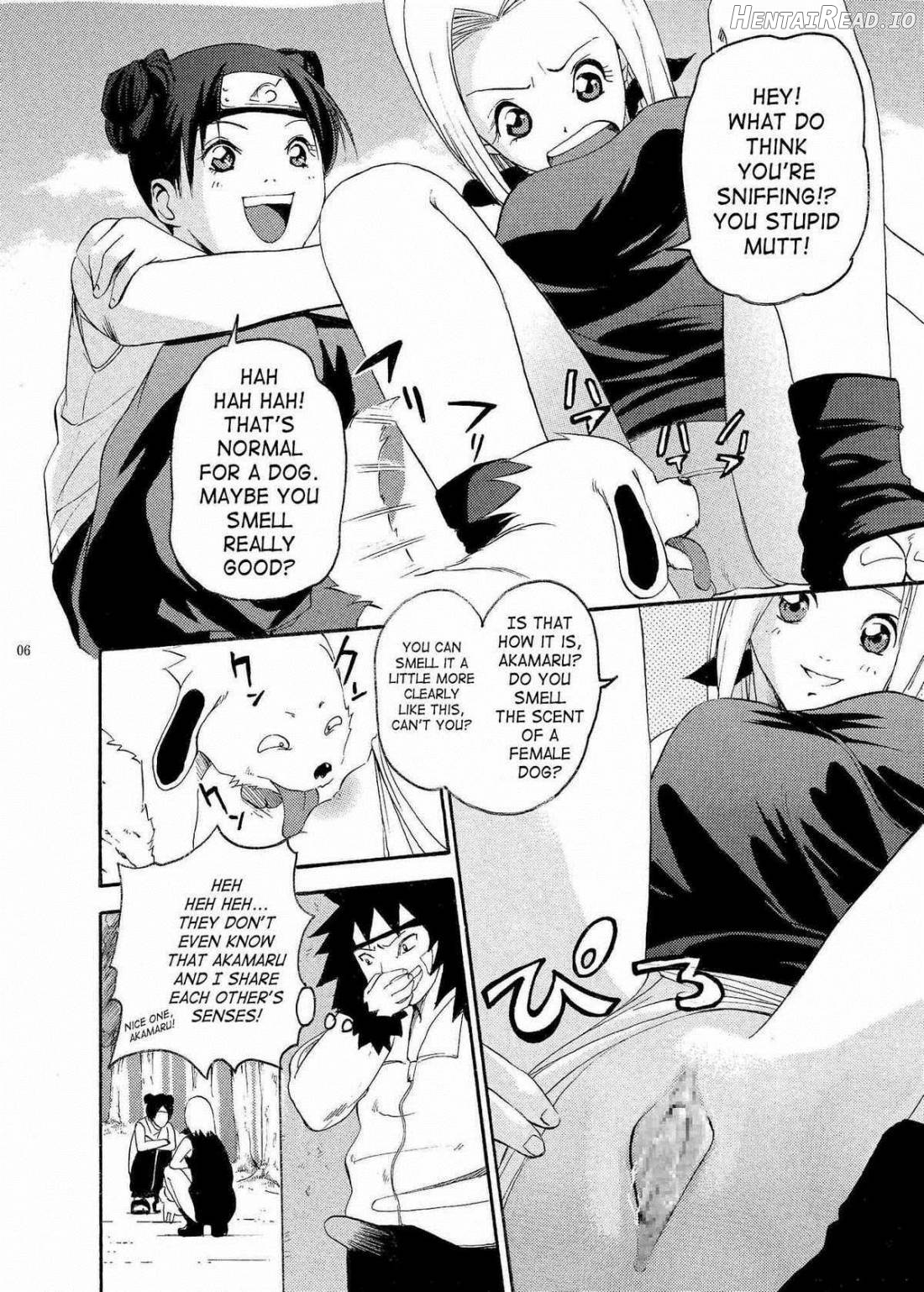 Kunoichi Hatsujouchuu!! Chapter 1 - page 5