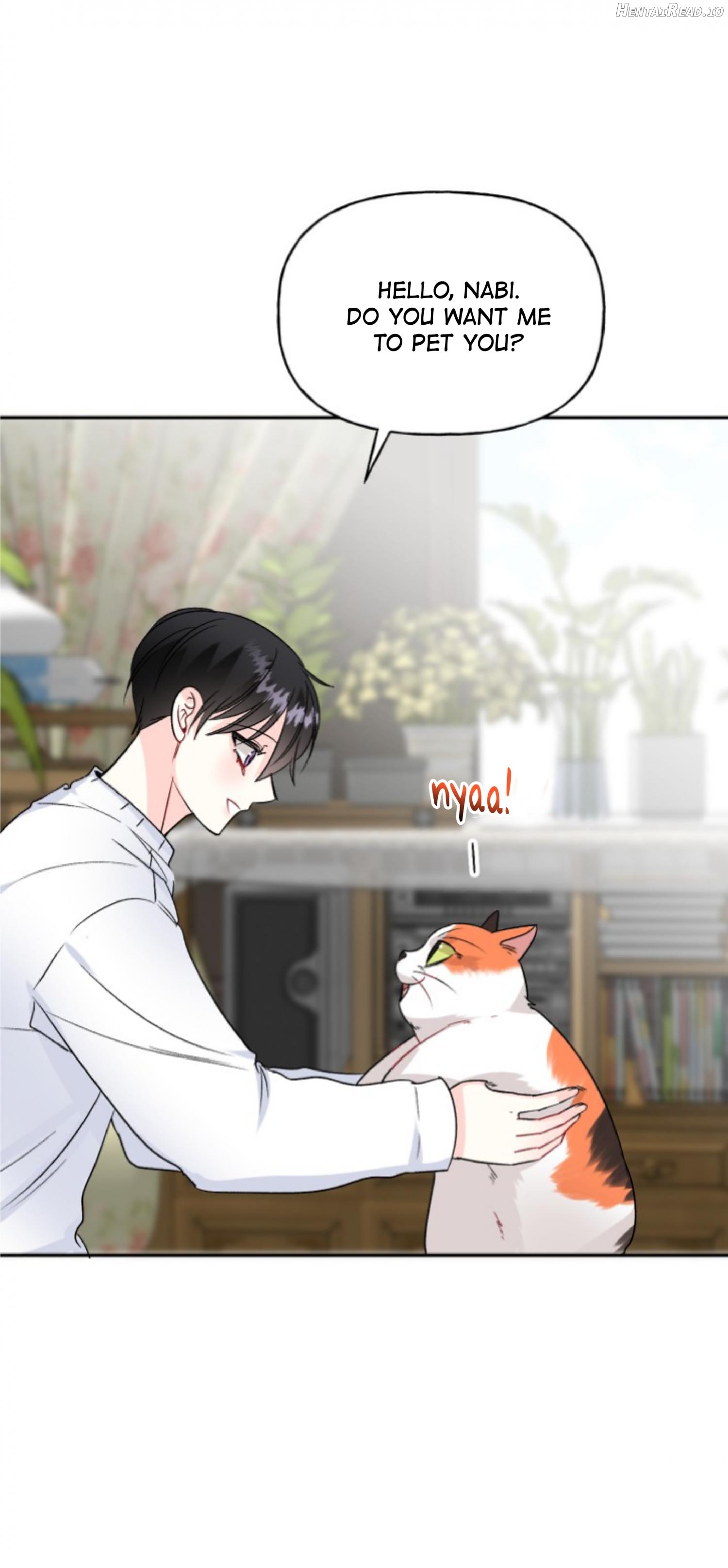 Percentage of Love Chapter 50 - page 12