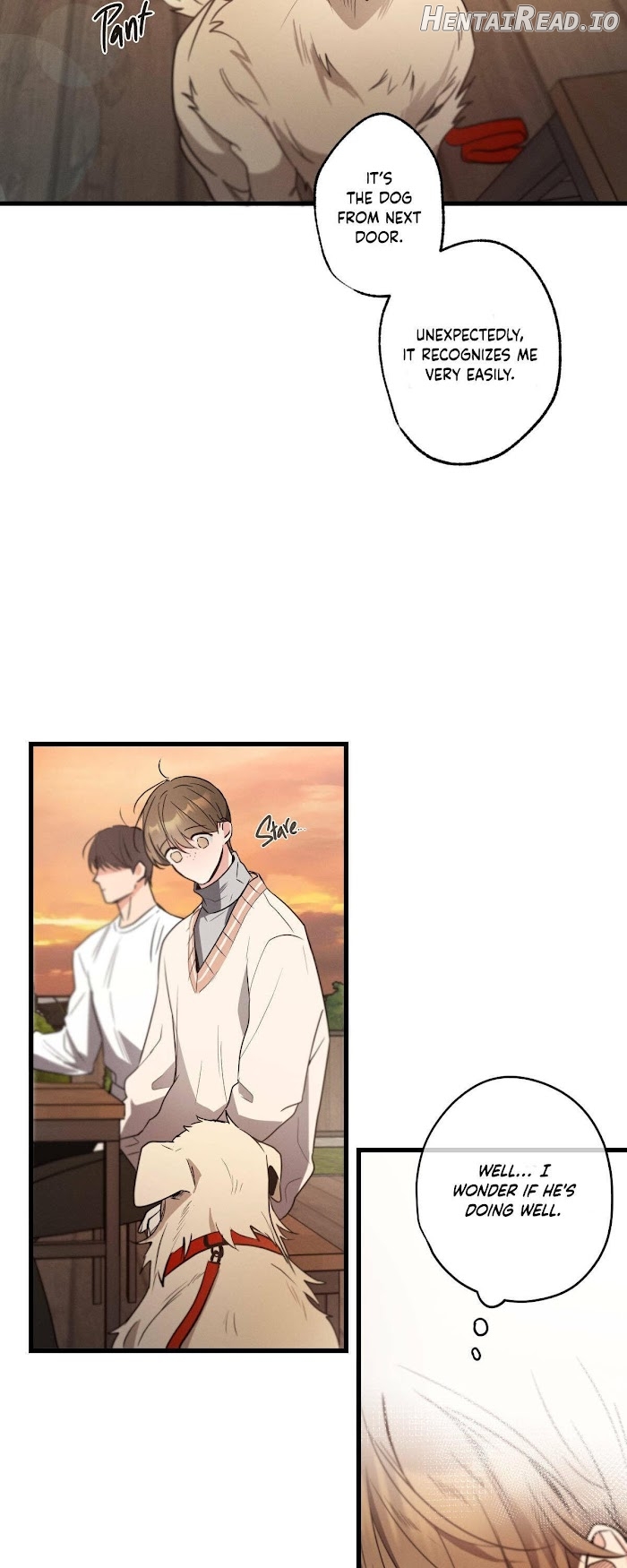 Love History Caused by Willful Negligence Chapter 14 - page 2