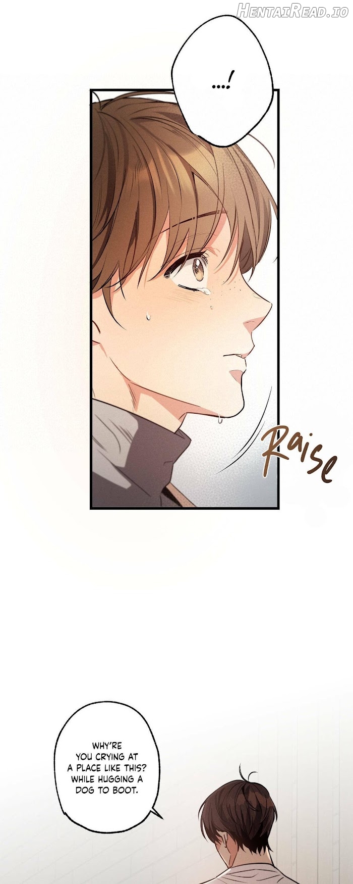 Love History Caused by Willful Negligence Chapter 14 - page 20