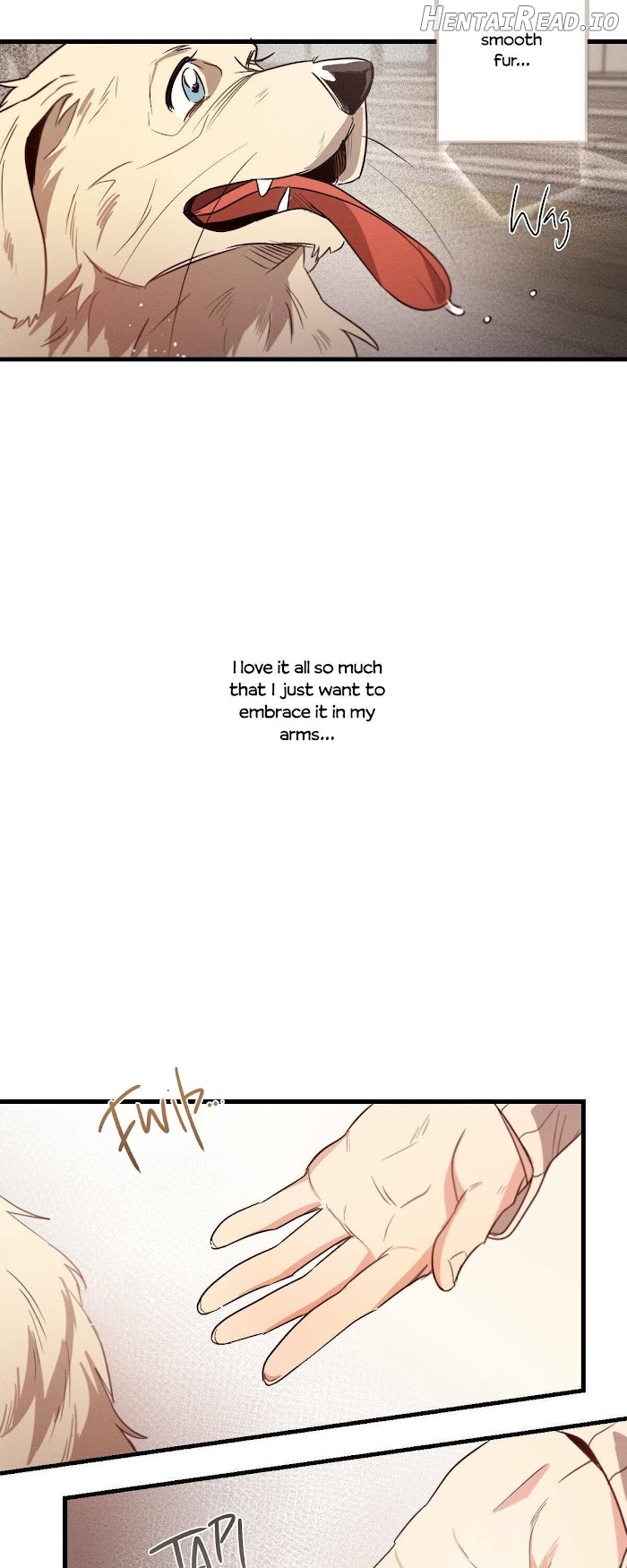 Love History Caused by Willful Negligence Chapter 14 - page 5