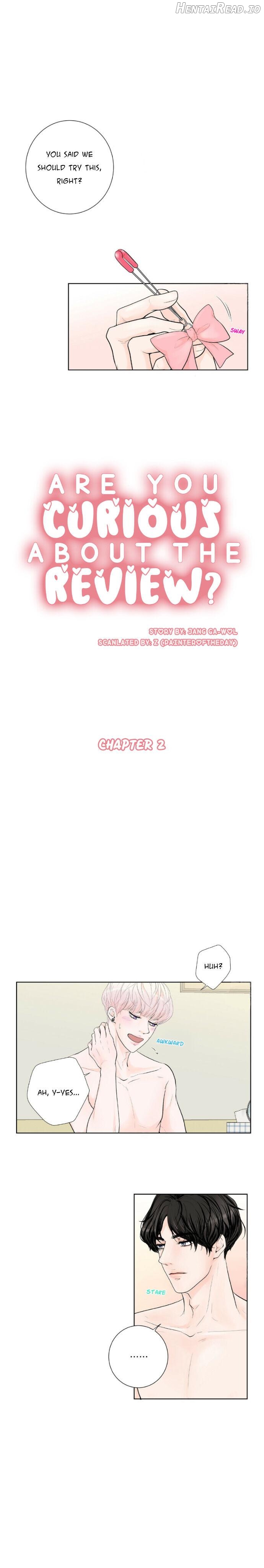 Curious about the Review? Chapter 2 - page 3