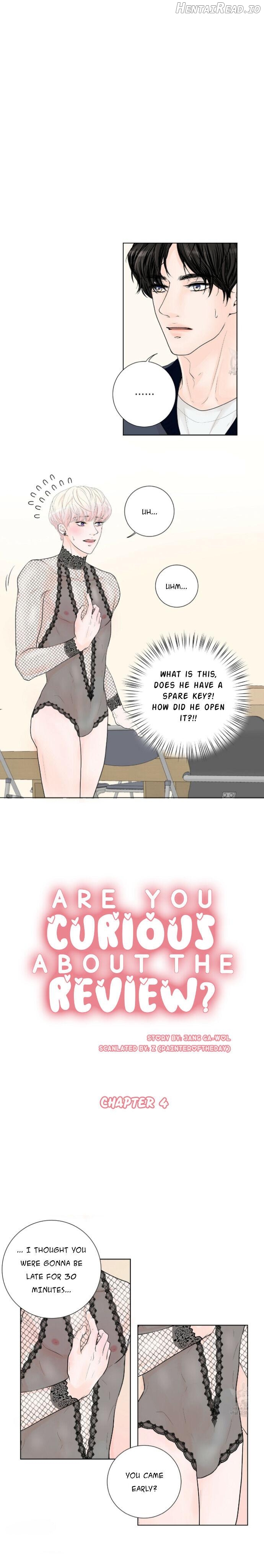 Curious about the Review? Chapter 4 - page 3