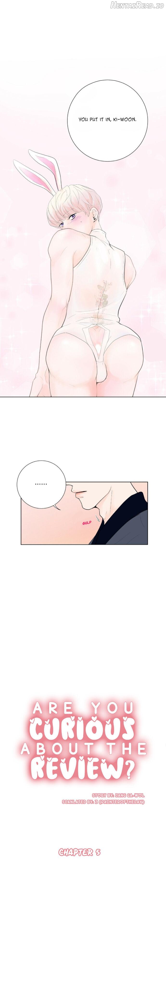 Curious about the Review? Chapter 5 - page 3