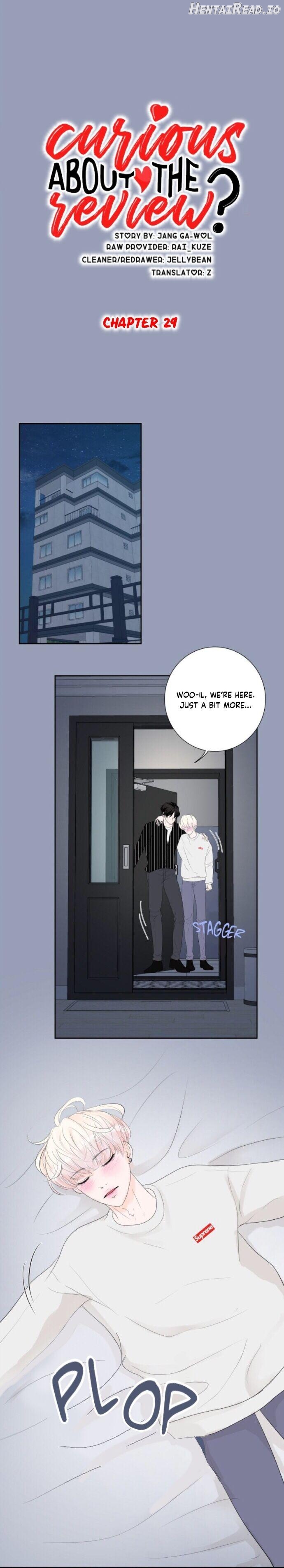Curious about the Review? Chapter 29 - page 3
