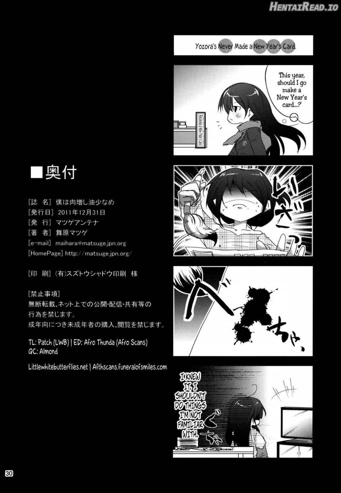 Boku wa Niku Mashi Abura Sukuname Chapter 1 - page 28