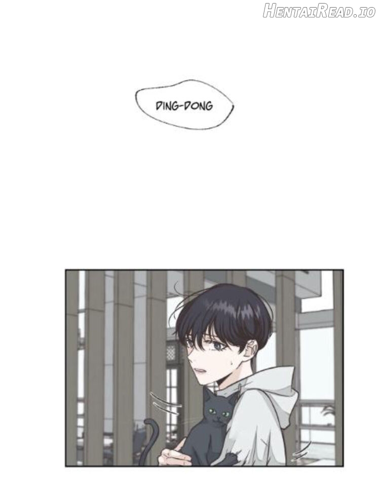 Siren's Song Hentai Chapter 13 - page 8