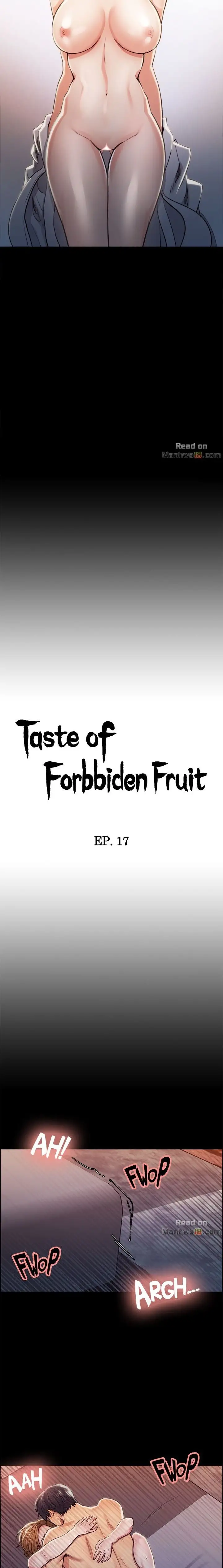 Taste of Forbbiden Fruit Chapter 17 - page 2