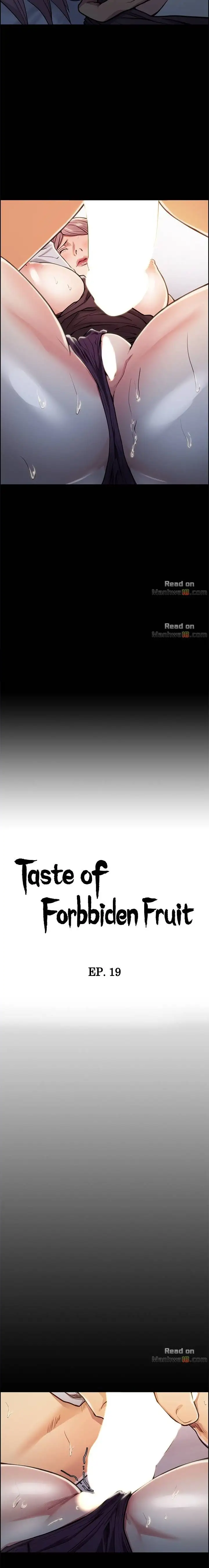 Taste of Forbbiden Fruit Chapter 19 - page 2