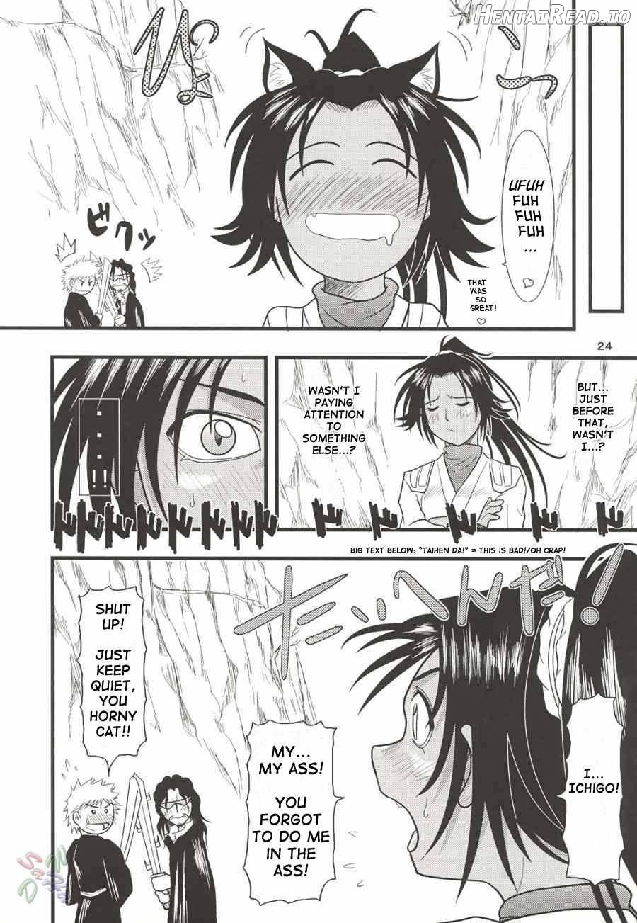 Yoruichi Nyan no Hon 2 Chapter 2 - page 21