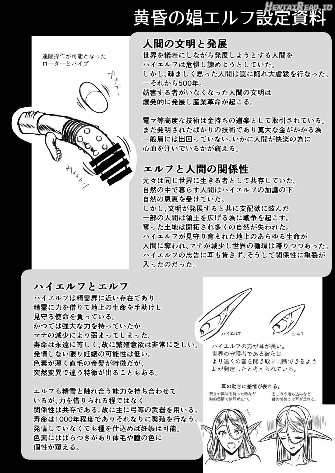 Tasogare no Shou Elf 4 - The story of Emma's side Chapter 3 - page 42
