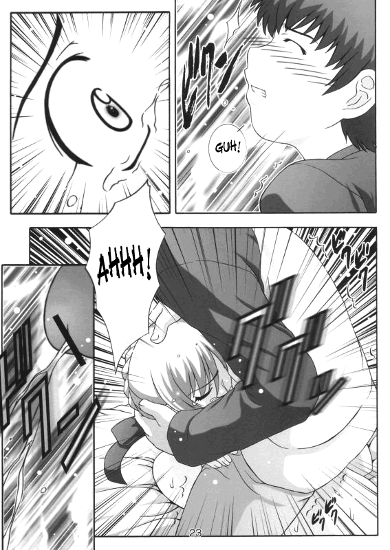 Secret File Next - Shinobu no Arbeit Nikki Chapter 3 - page 21