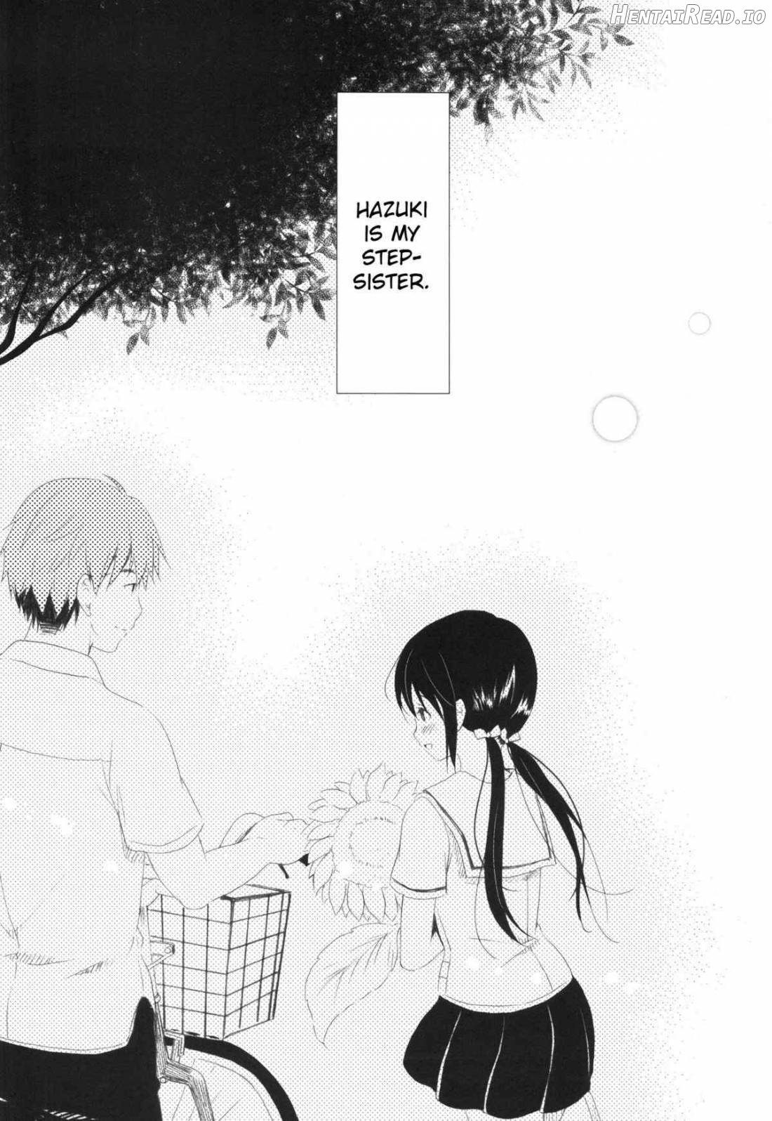 Shunka - Watashi to Ani no Natsuyasumi Chapter 1 - page 3