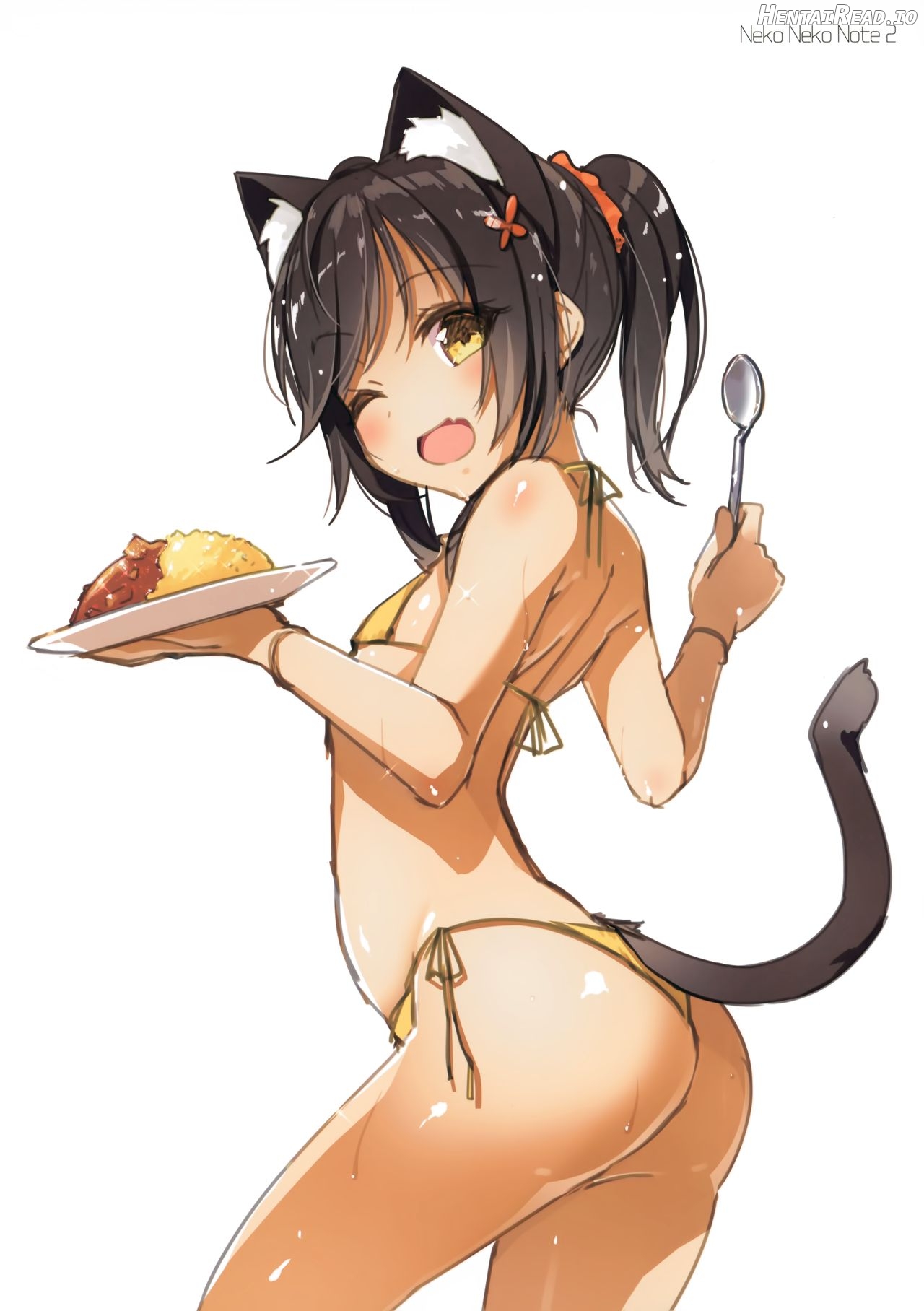 Neko Neko Note 6 Natsu no Umi de Tanetsuke Sex Suru Hon Chapter 2 - page 8