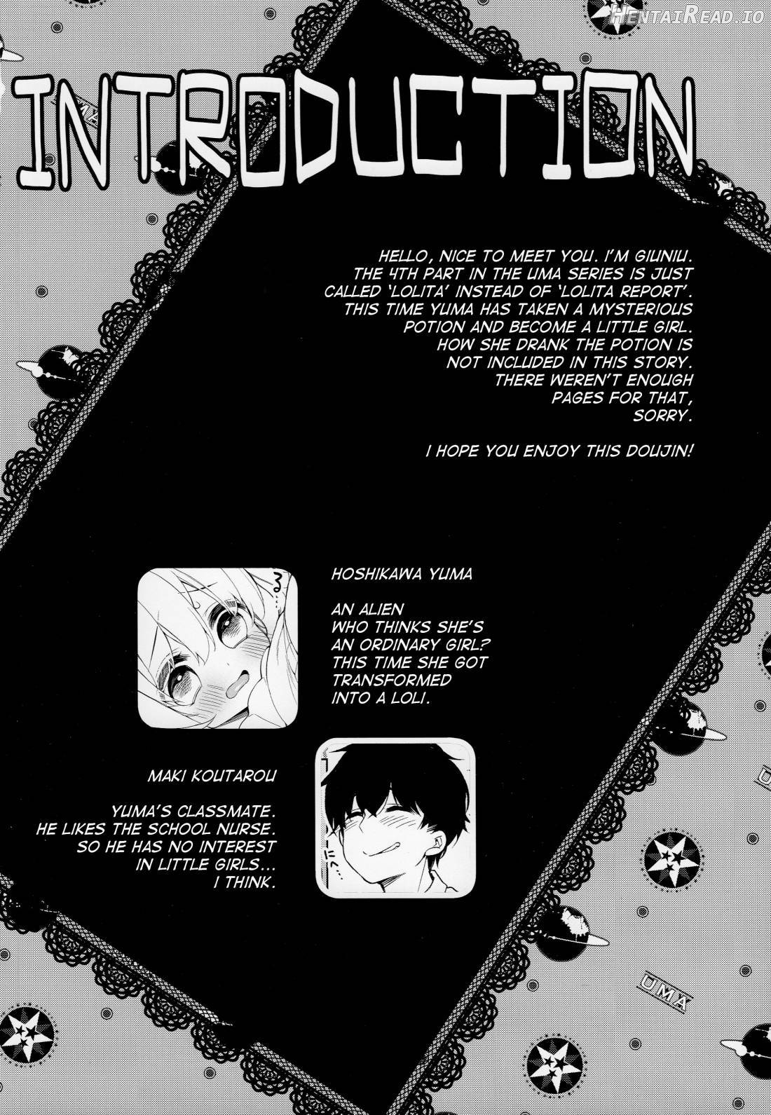 UMA report 001 Chapter 2 - page 2
