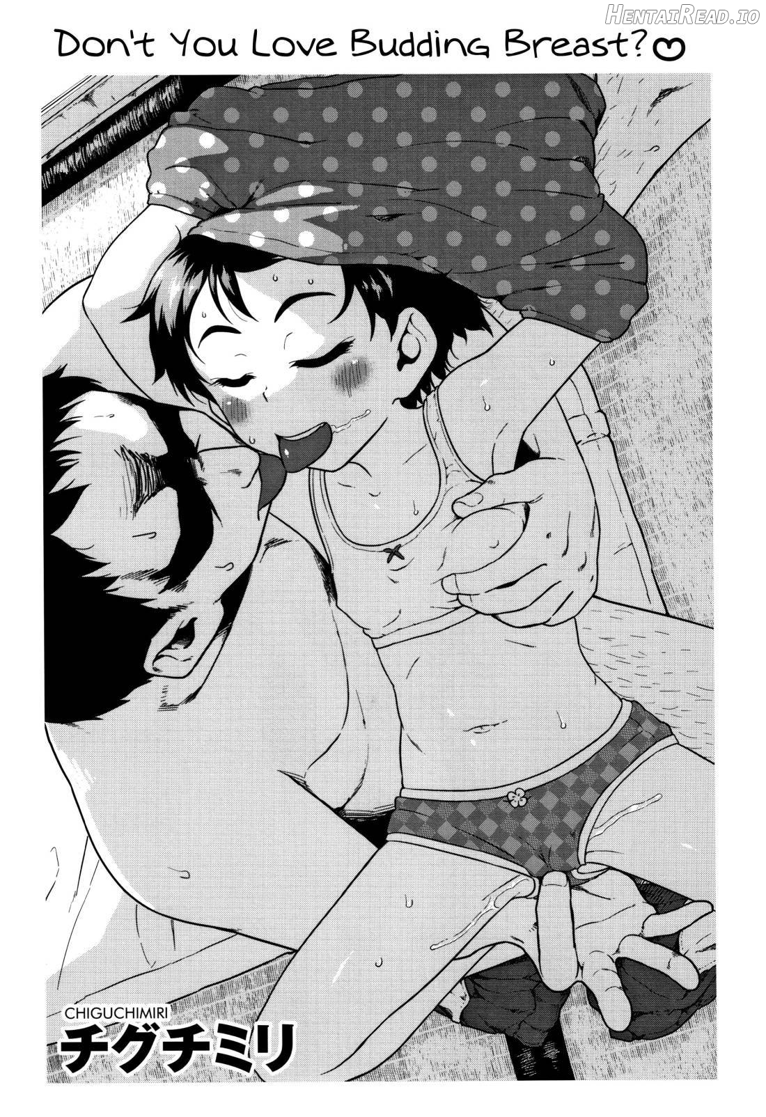 Fukuramikake ga Osuki Desho Chapter 1 - page 15