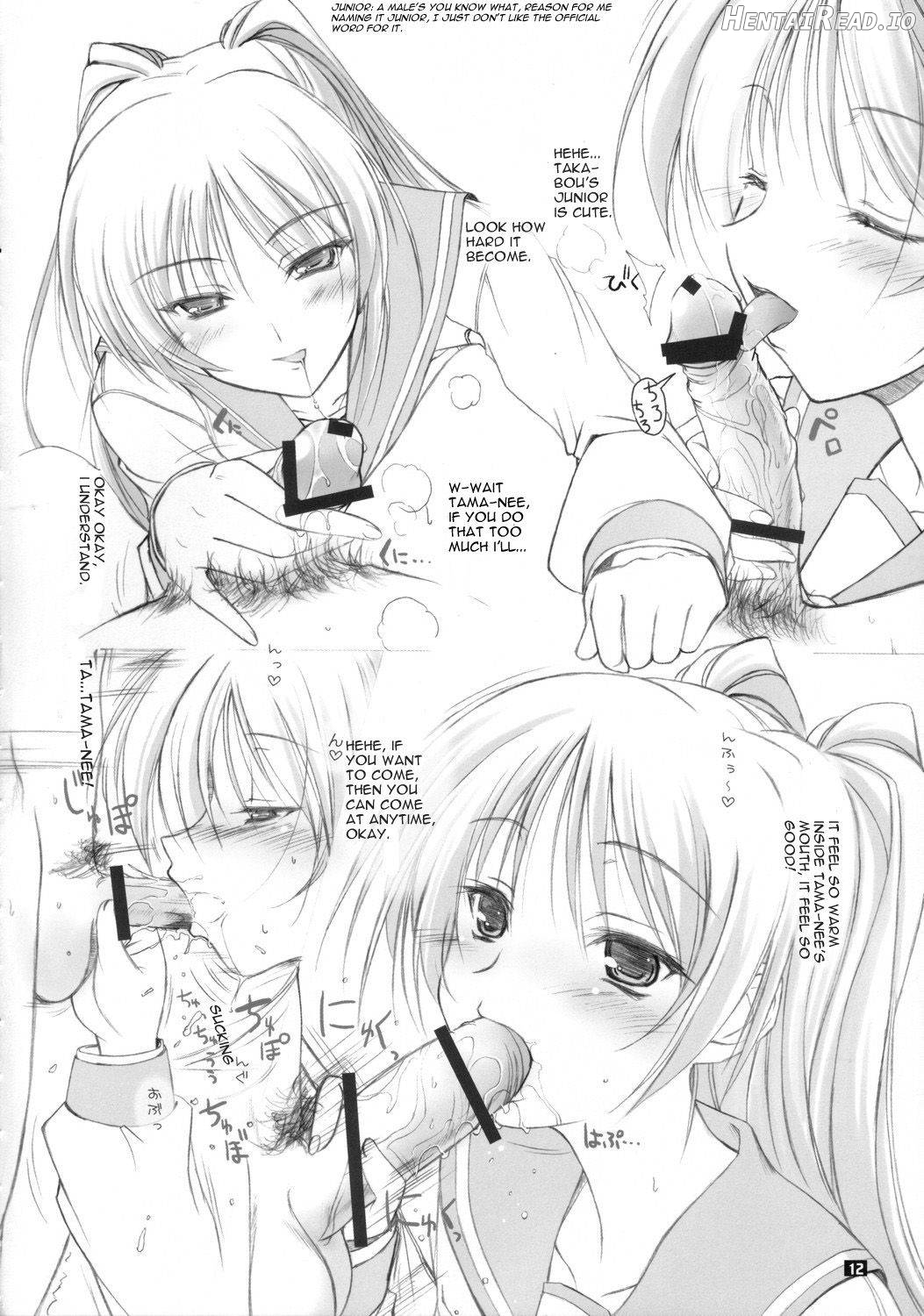 Tama-nee no Nikujaga Chapter 1 - page 10