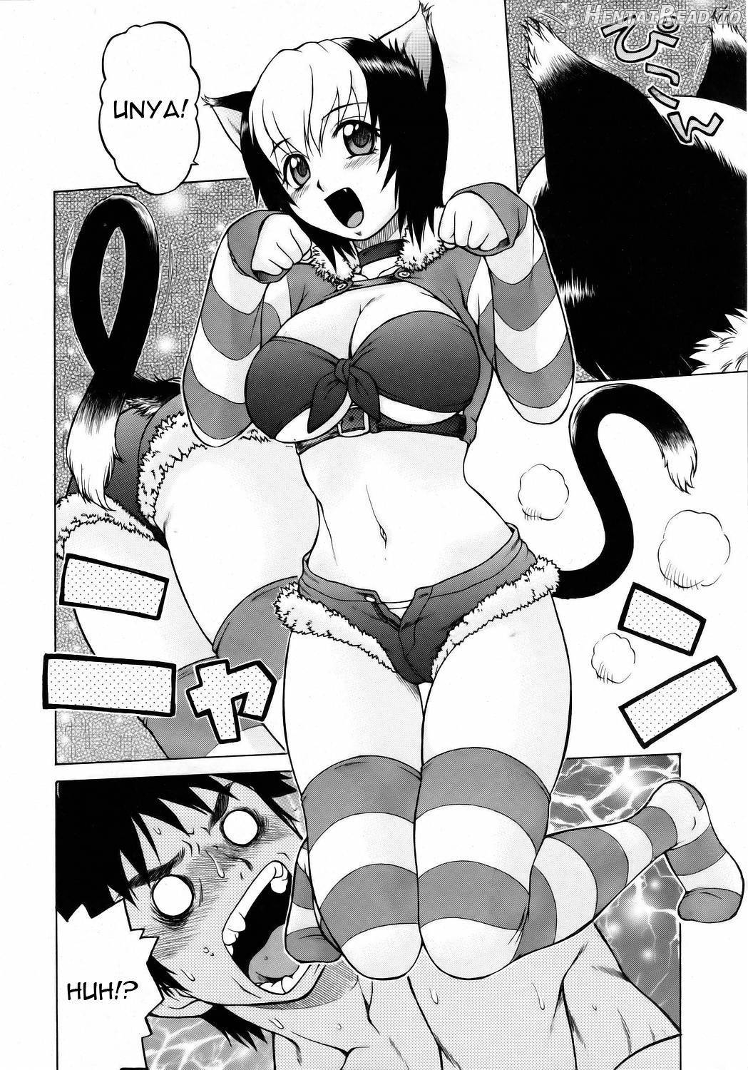 Miracle Neko Punch! Chapter 1 - page 8