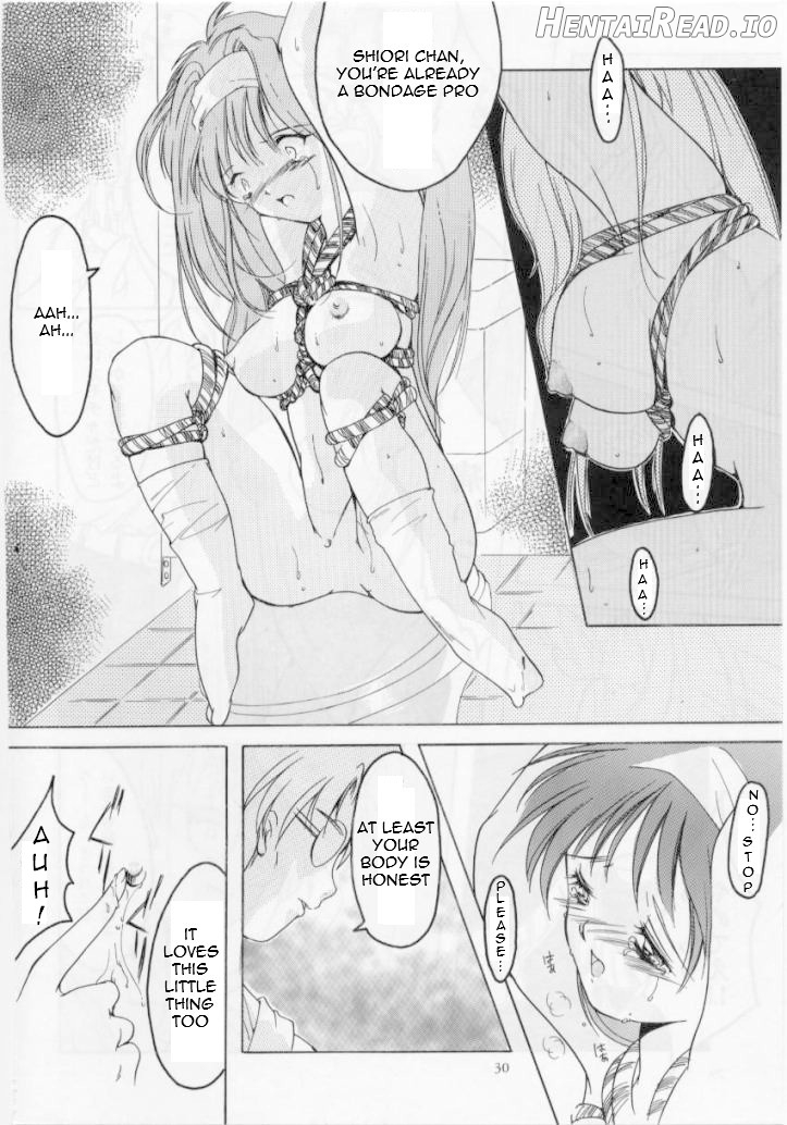 Shiori Dai-Juuroku-Shou Happy Merry Christmas Chapter 4 - page 28