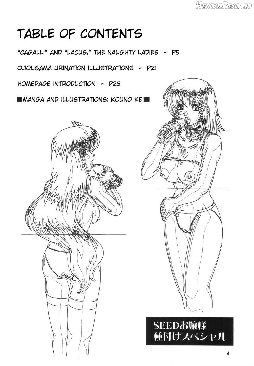 Daten No Hanazono 6 Chapter 1 - page 2