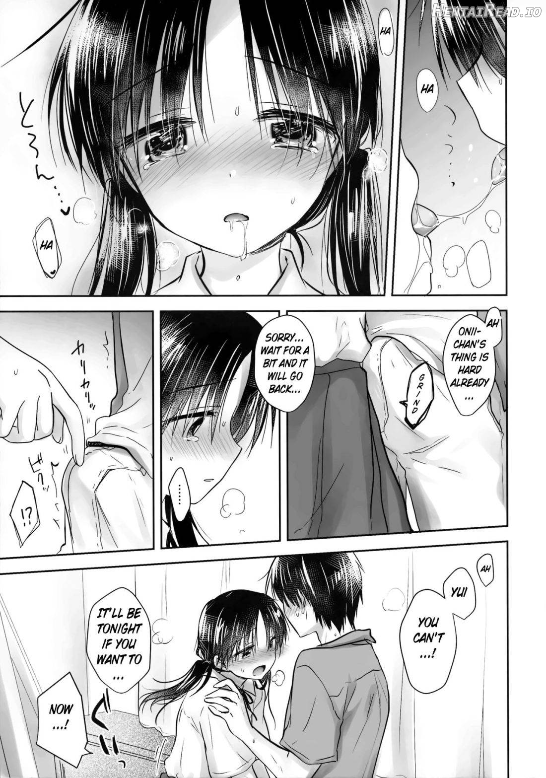 Oiwai Sex 3 ~Onii-chan 20-sai no Hi~ Chapter 3 - page 25
