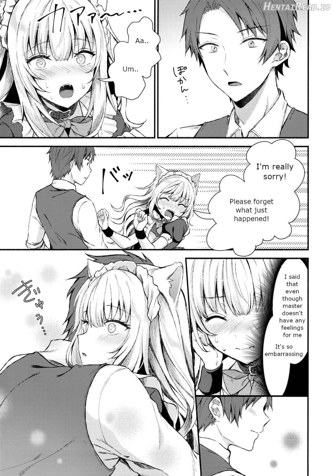 Moto Dorei no Nekomimi Maid to Shiawase Ecchi Suru Hon Chapter 1 - page 9
