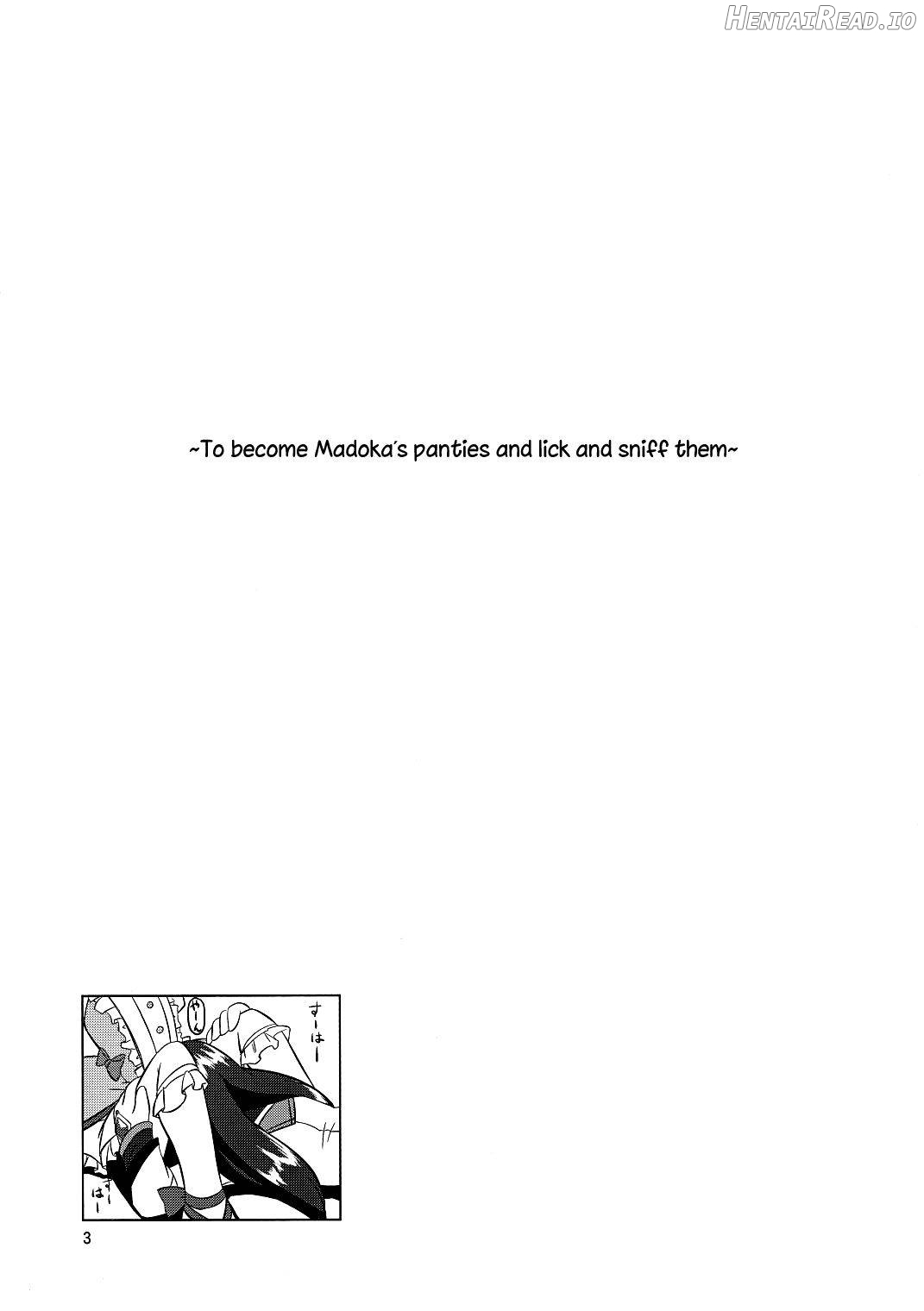 I Want to Become Madoka's Panties! Chapter 1 - page 2