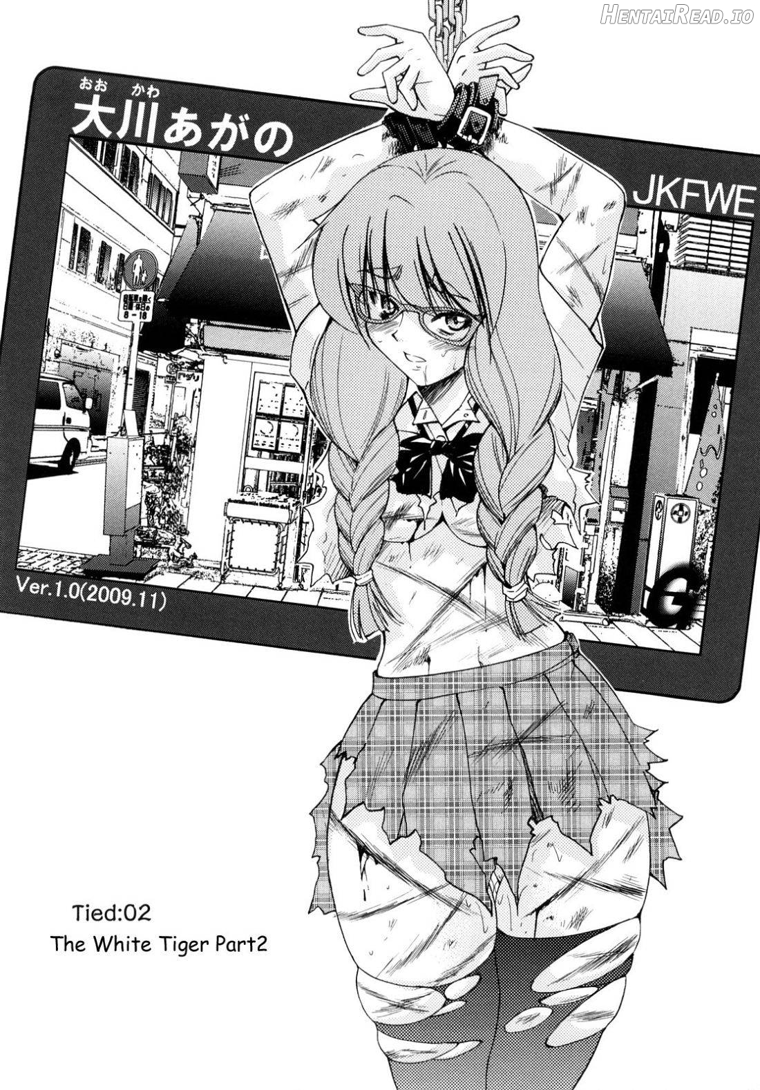 Shibarare Hime Chapter 1 - page 28