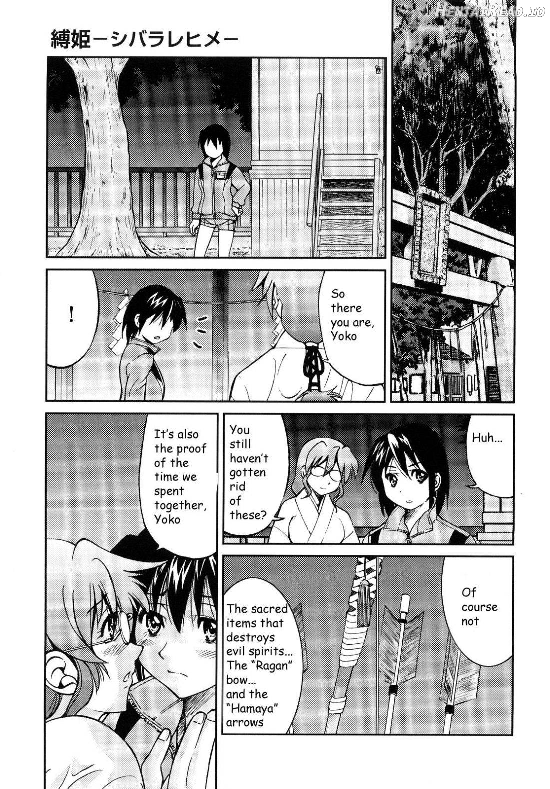 Shibarare Hime Chapter 1 - page 134